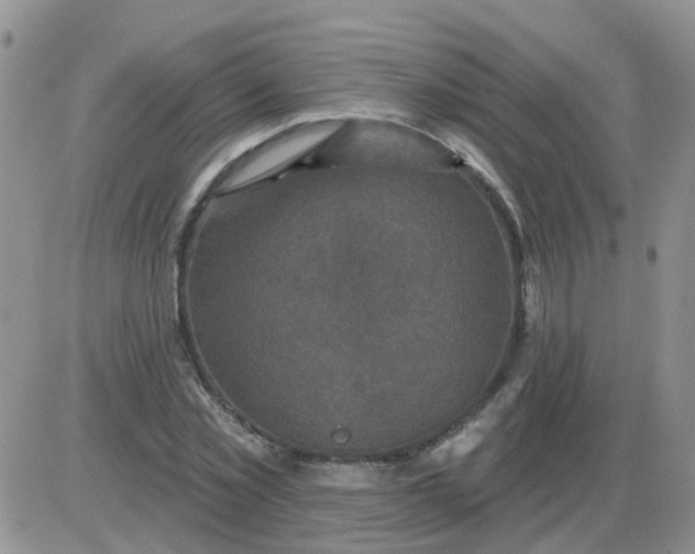 X0000085300781200703231857