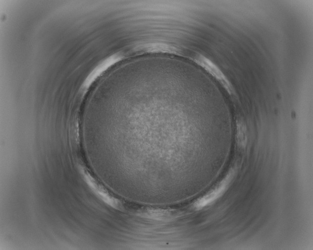 X0000085300782200703231857