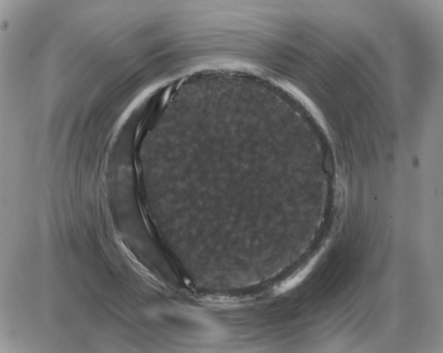 X0000085300783200703231857