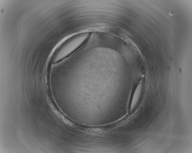 X0000085300784200703231857