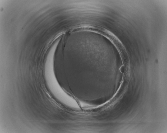 X0000085300785200703231857