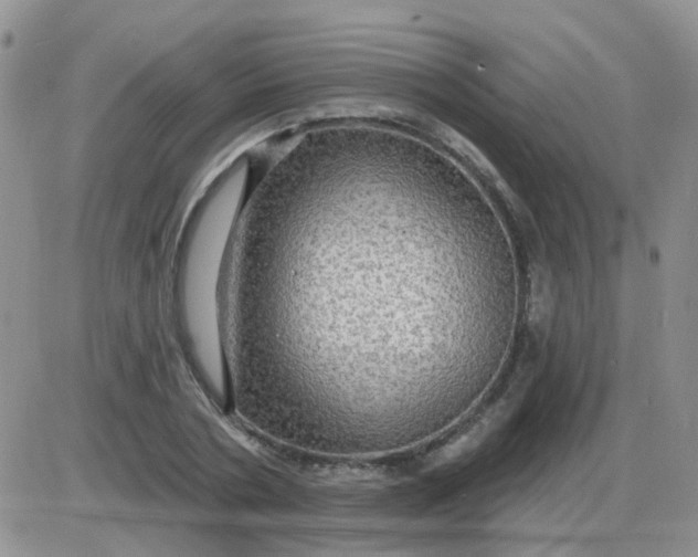 X0000085300786200703231857