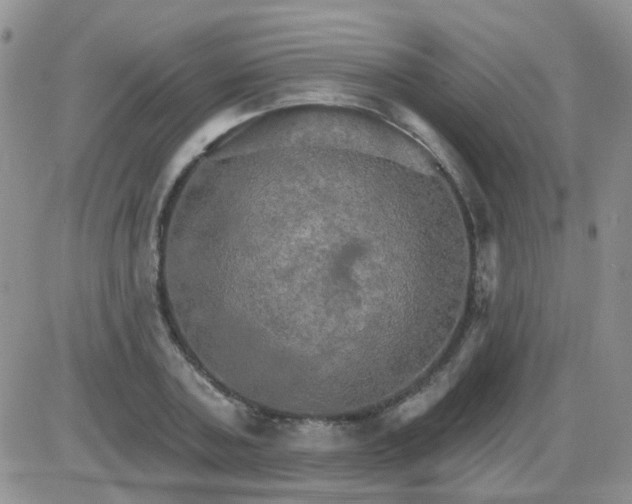 X0000085300787200703231857