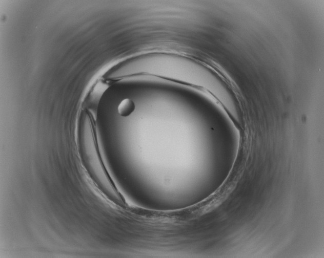 X0000085300788200703231857