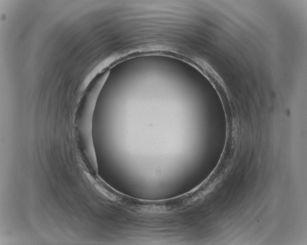 X0000085300789200703231857