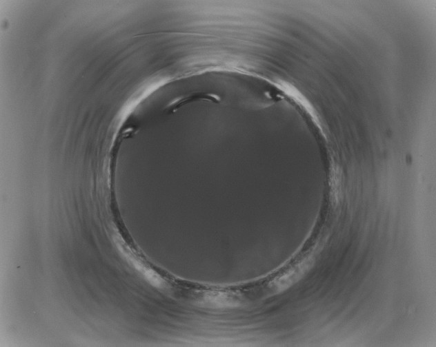 X0000085300790200703231857