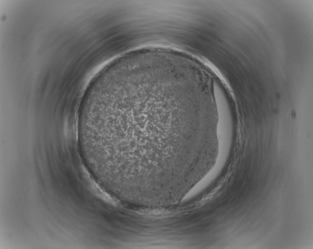 X0000085300791200703231857