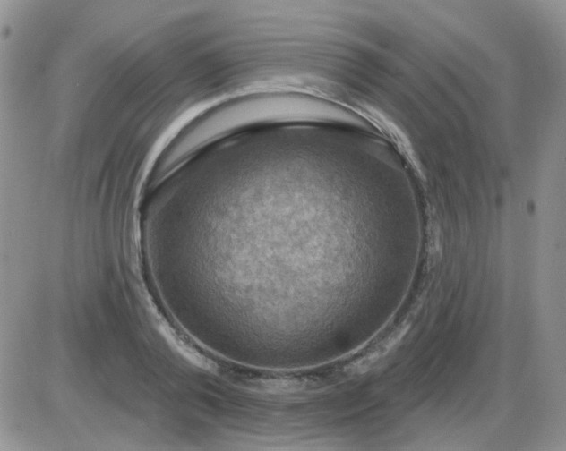 X0000085300792200703231857