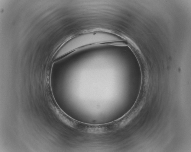 X0000085300793200703231857