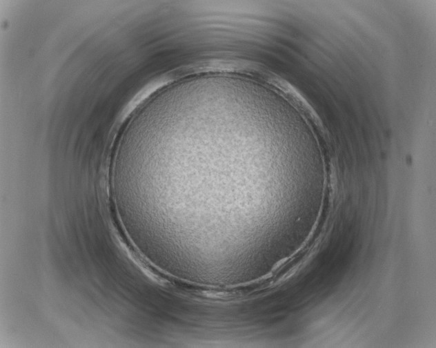 X0000085300794200703231857