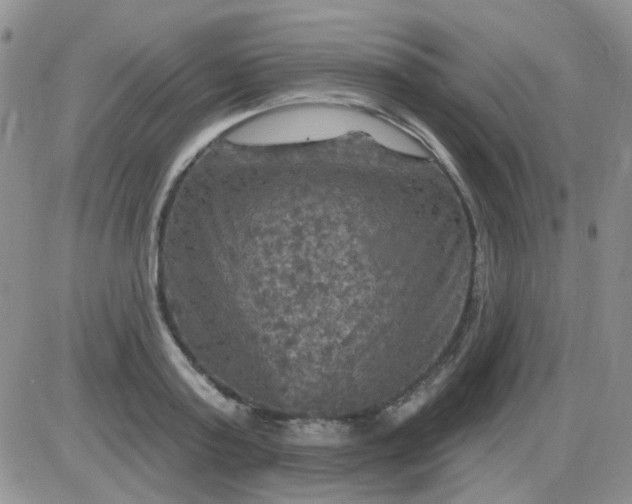 X0000085300795200703231857