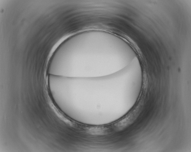 X0000085300796200703231857