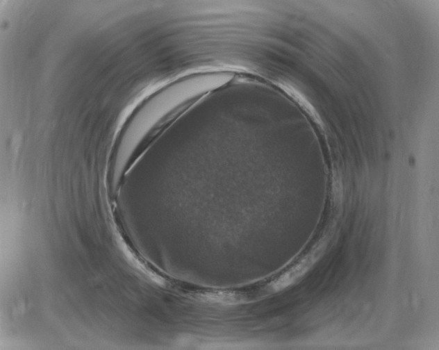 X0000085300797200703231857