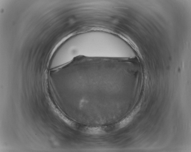 X0000085300798200703231857