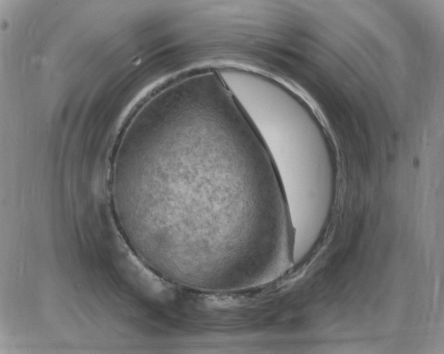 X0000085300799200703231857