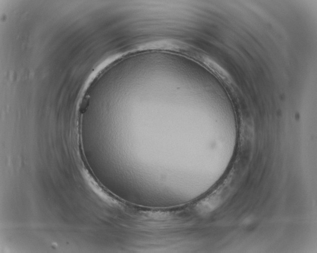 X0000085300800200703231857