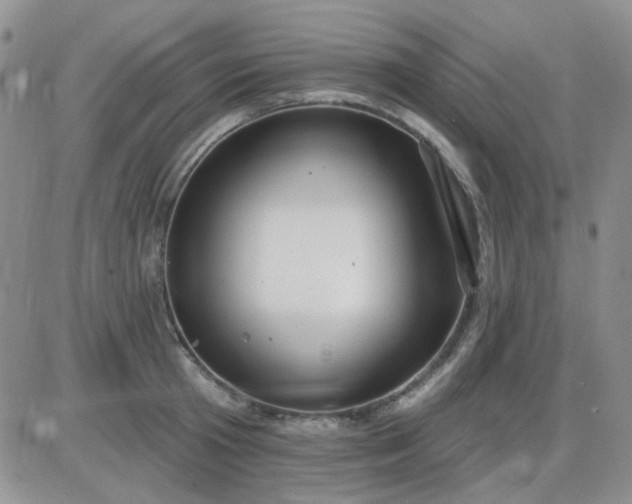 X0000085300801200703231857