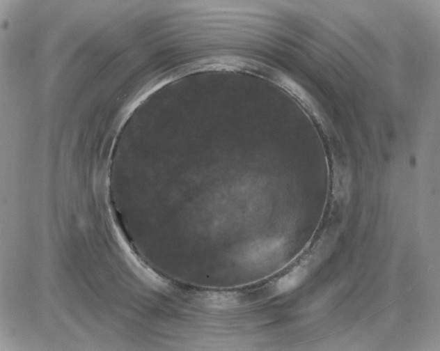 X0000085300802200703231857