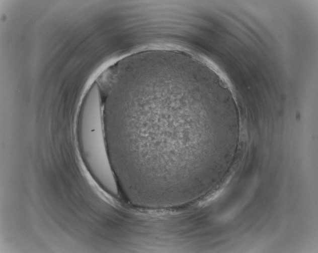 X0000085300803200703231857