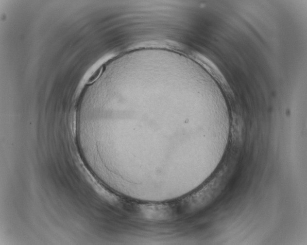 X0000085300804200703231857