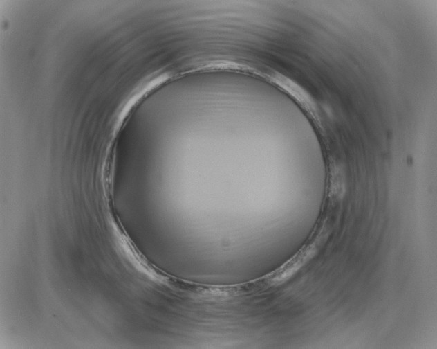 X0000085300806200703231857