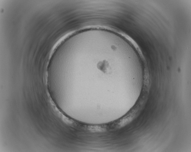 X0000085300807200703231857