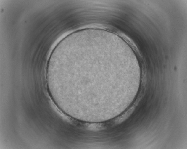 X0000085300808200703231857