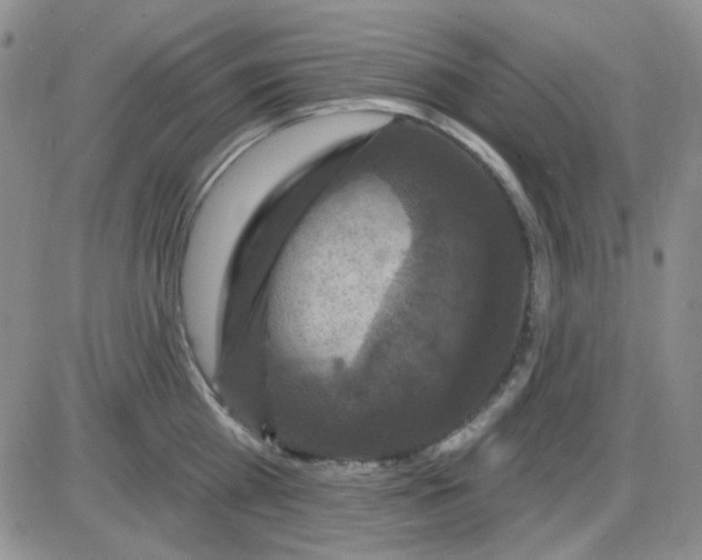 X0000085300809200703231857