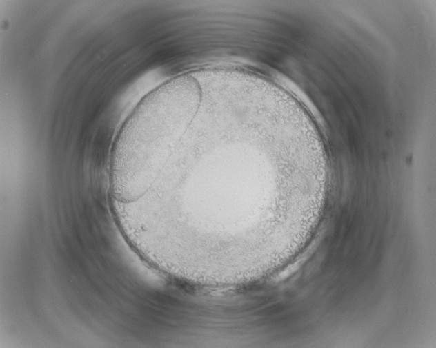 X0000085300810200703231857