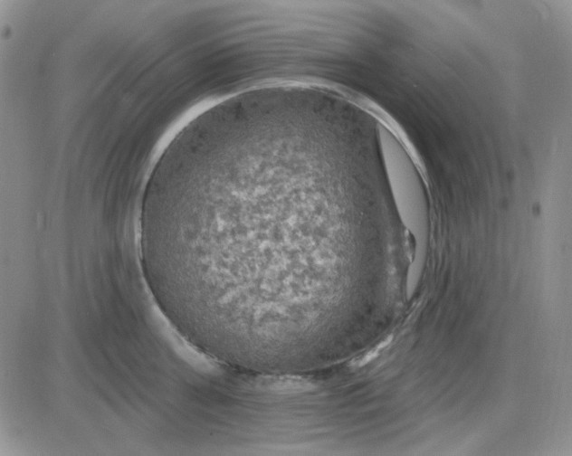 X0000085300811200703231857