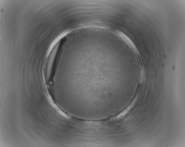 X0000085300812200703231857