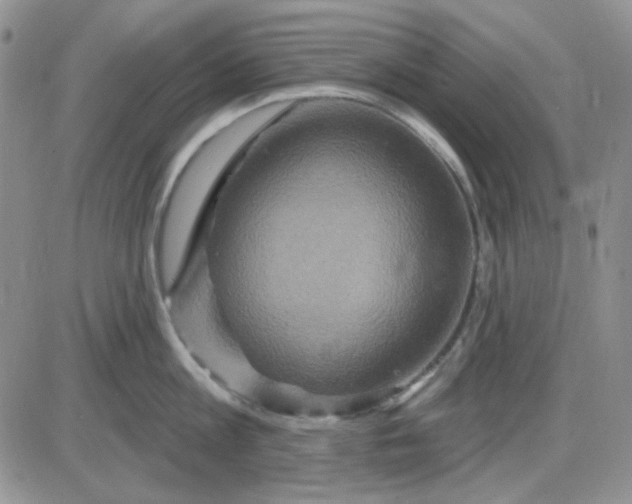 X0000085300813200703231856