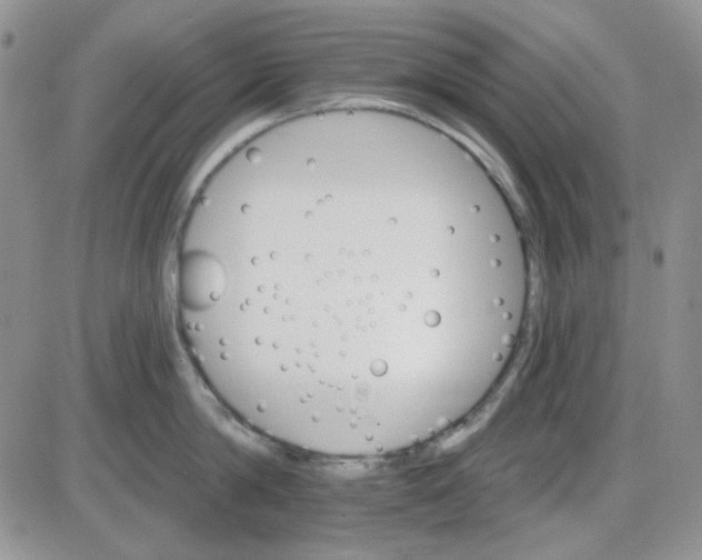 X0000085300814200703231856