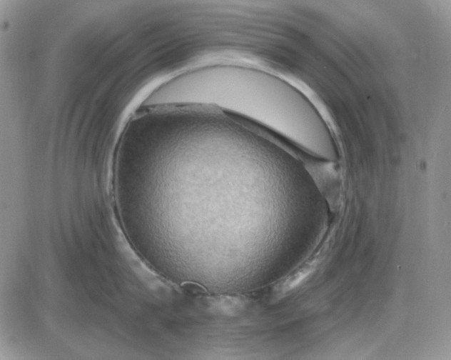 X0000085300815200703231856