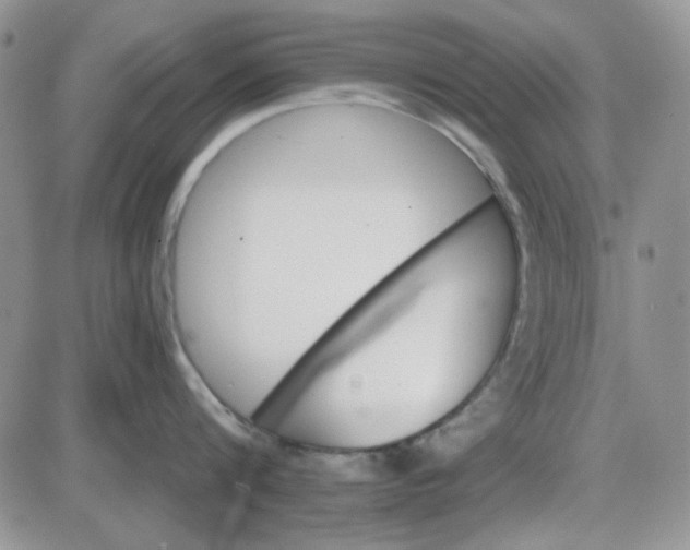 X0000085300816200703231856