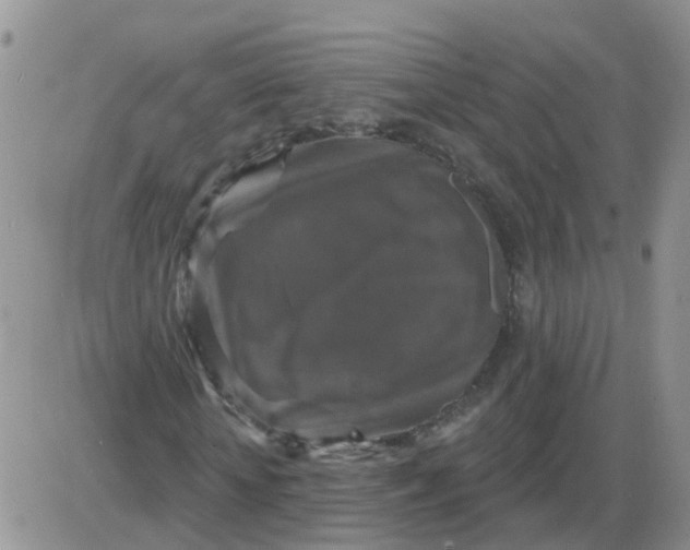 X0000085300818200703231856