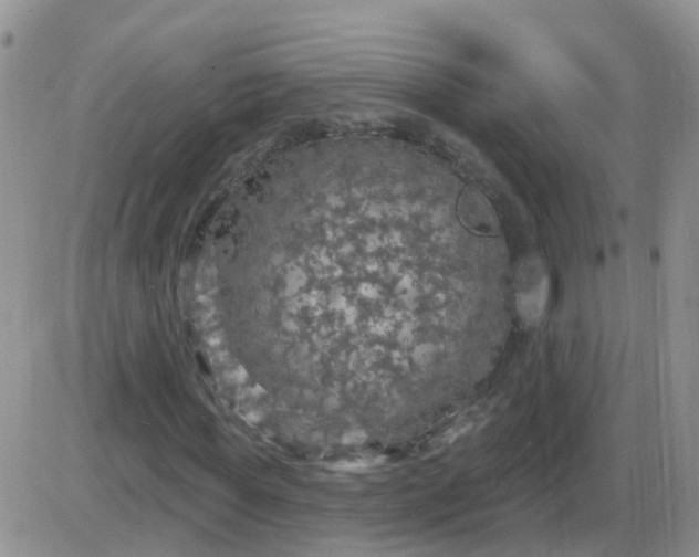 X0000085300819200703231856