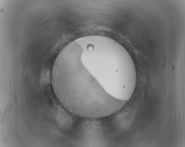 X0000085300820200703231856