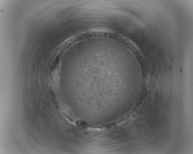 X0000085300821200703231856