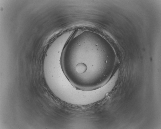 X0000085300824200703231856