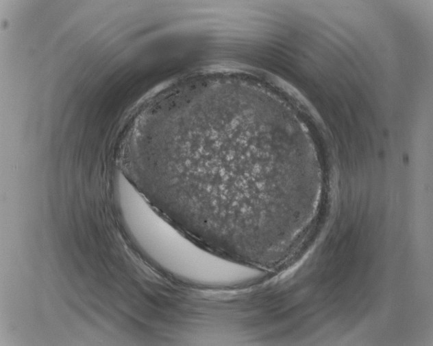 X0000085300825200703231856