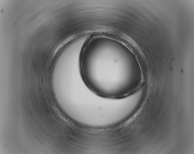 X0000085300826200703231856