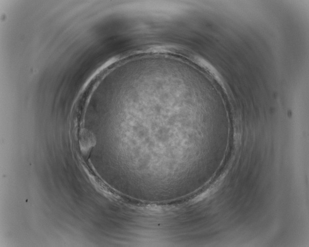 X0000085300827200703231856