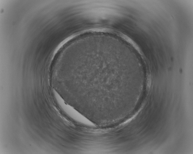 X0000085300829200703231856