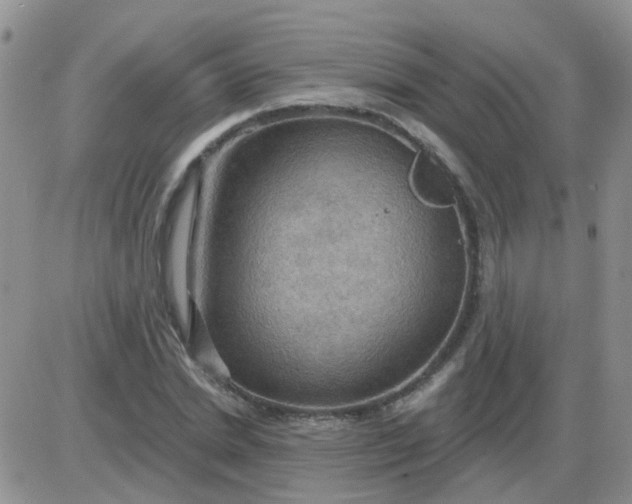 X0000085300830200703231856