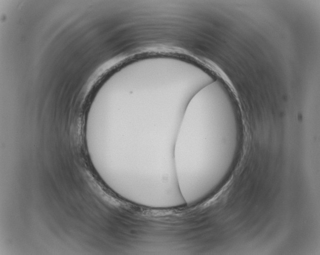 X0000085300831200703231856