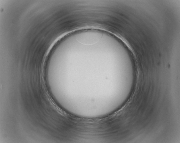 X0000085300832200703231856