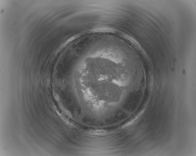 X0000085300833200703231856