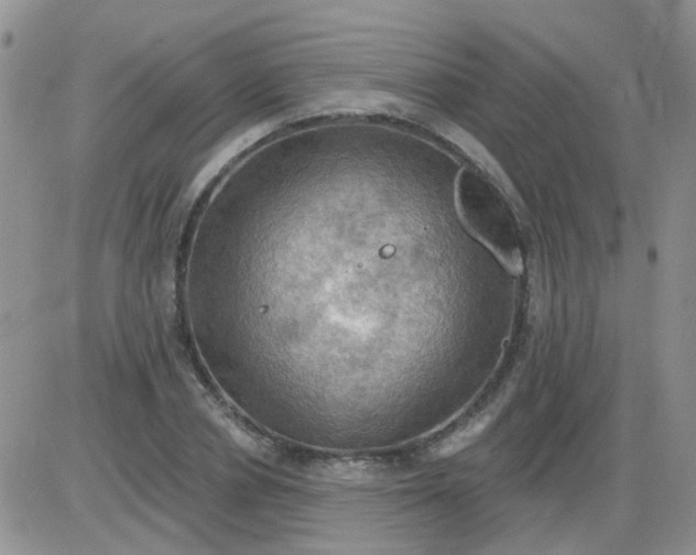 X0000085300834200703231856