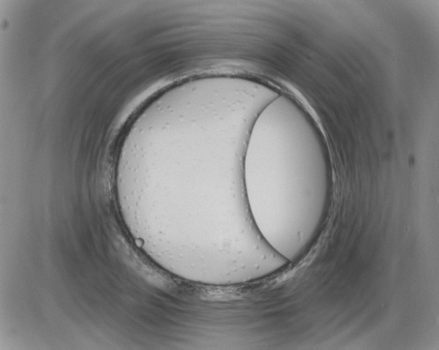 X0000085300835200703231856